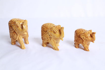 Elephant (Set of 3)