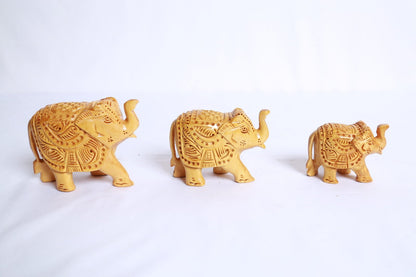 Elephant (Set of 3)